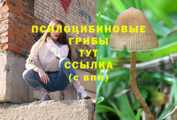 синтетический гашиш Нефтегорск