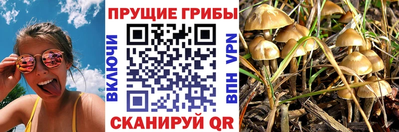 Псилоцибиновые грибы Psilocybine cubensis  mega ссылка  Онега 
