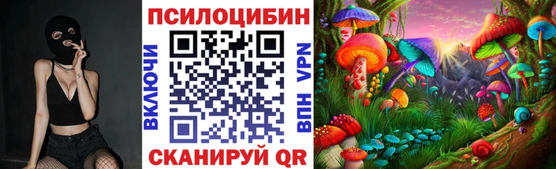 Галлюциногенные грибы ЛСД Онега
